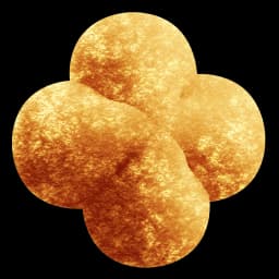 Process Automation & Data Engineering