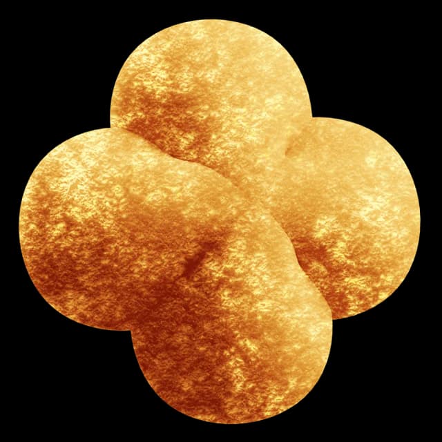 Image representing a link for Process Automation & Data Engineering